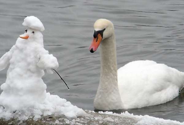 Swan and mini-snowman
