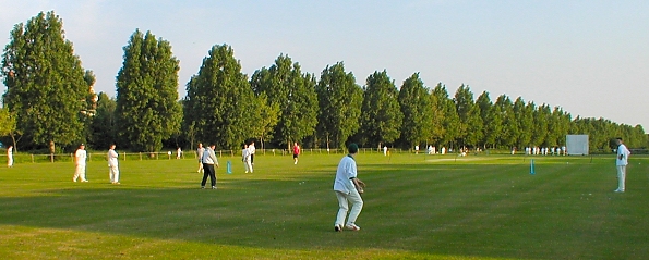 cricket on Woodford Green